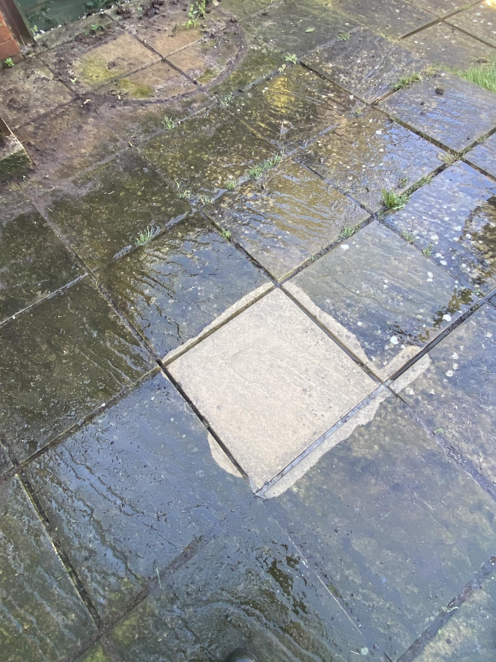 Patio slab pressure washed clean among dirty, mossy slabs