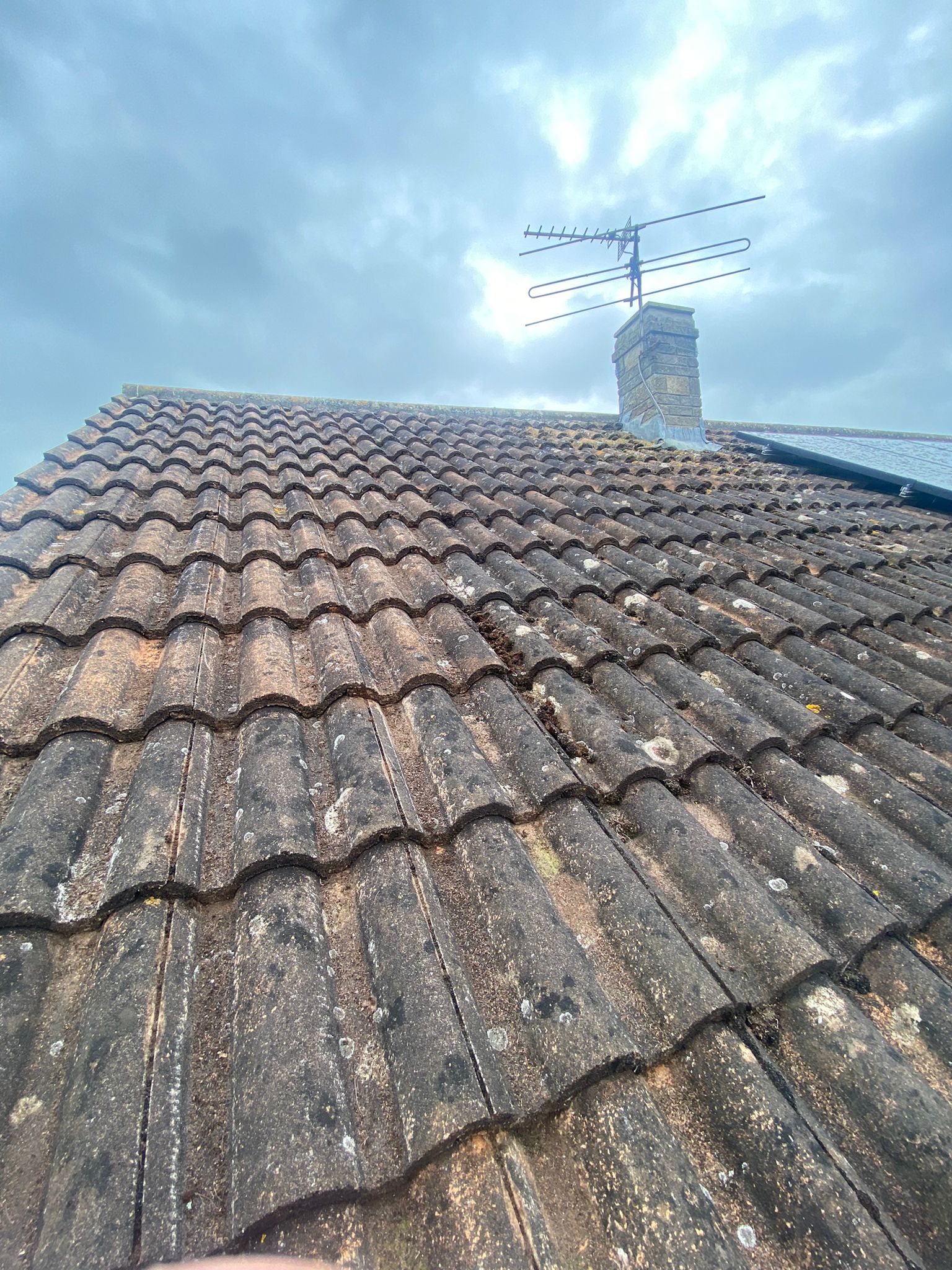 roof cleaning in Taunton | Somerset | Dorset | Exeter