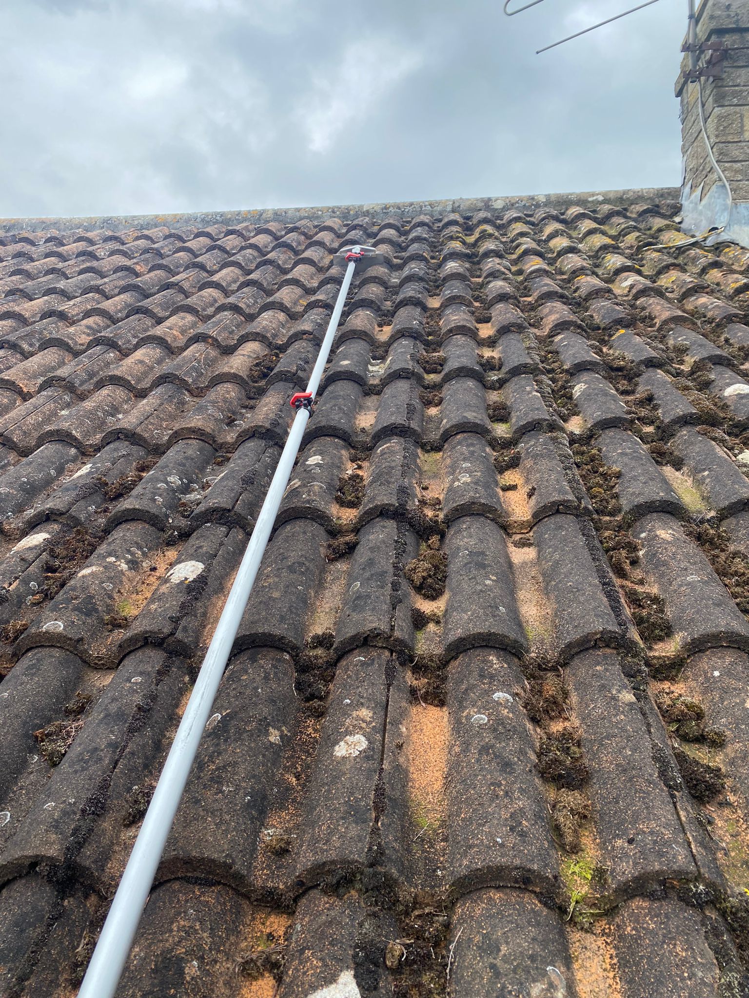 roof moss scraping in Taunton | Somerset | Dorset | Exeter