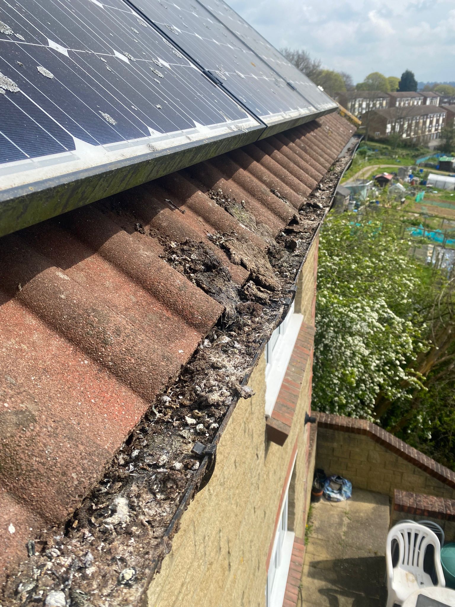 gutter cleaning in Taunton | Somerset | Dorset | Exeter